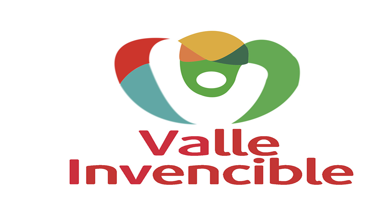 1100702-logo valle invencible.jpg